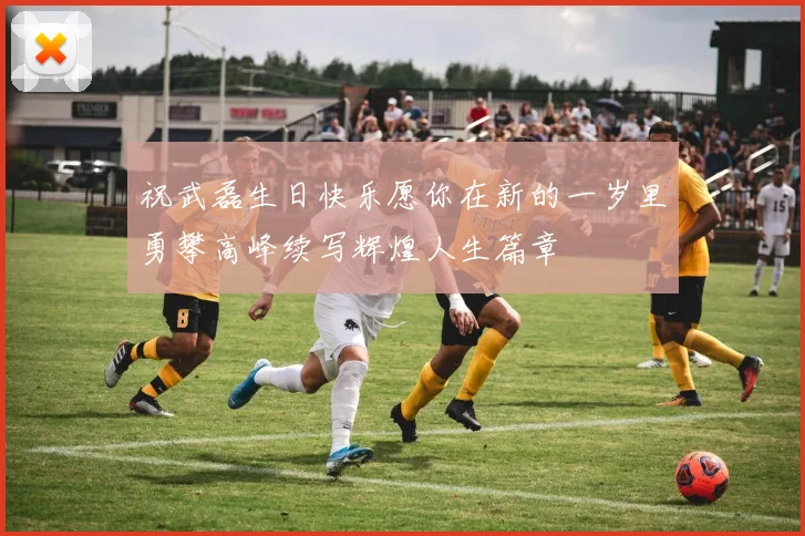 祝武磊生日快乐愿你在新的一岁里勇攀高峰续写辉煌人生篇章