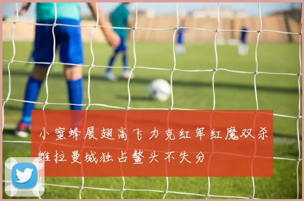 小蜜蜂展翅高飞力克红军红魔双杀维拉曼城独占鳌头不失分