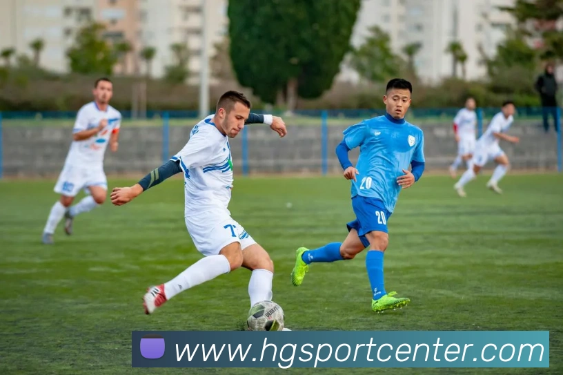 皇冠体育平台生态图